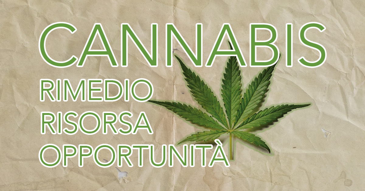 La Cannabis che non “tira”